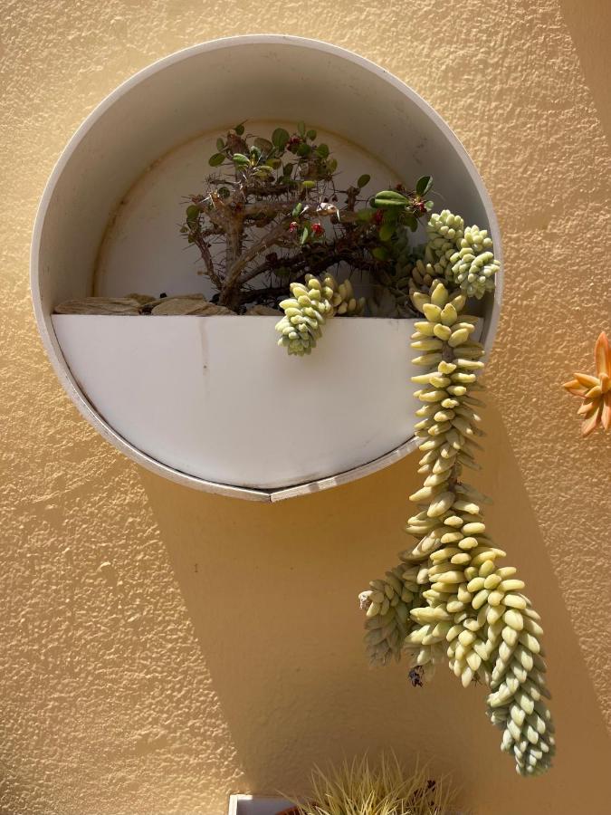 Eco House Golfinhos Apartment Corralejo Luaran gambar